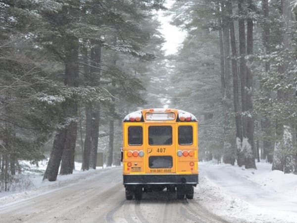 The rear of a yellow school bus travels down a snow-covered road through a dense stand of tall pine trees during light snowfall. The winter scene highlights the challenges of safely transporting students in icy, forested conditions.