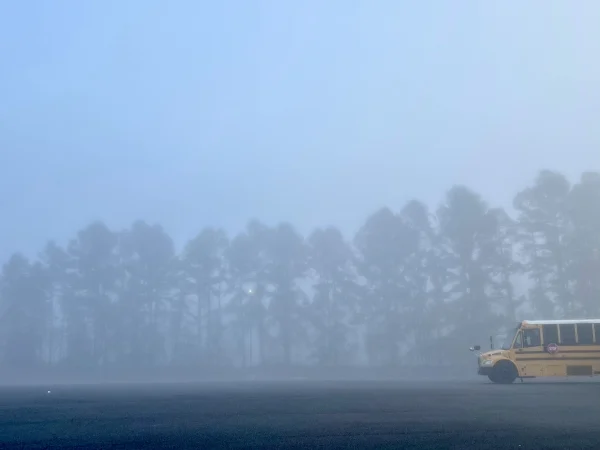 A yellow school bus emerges from dense morning fog at the edge of a parking lot, with a row of tall pine trees fading into the mist beneath a pale blue sky.