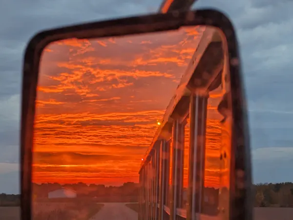 School bus rear view sunset