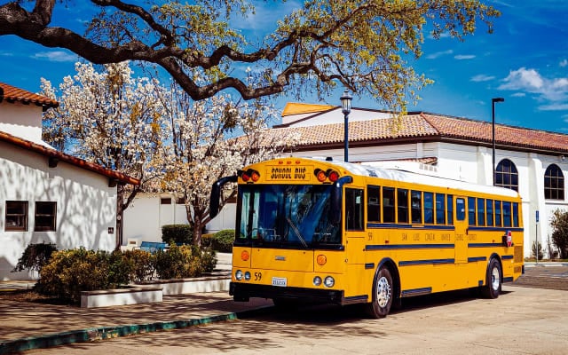 A yellow school bus is parked outside a school beneath a large oak tree with blooming white blossoms, framed by white buildings and a bright blue spring sky.