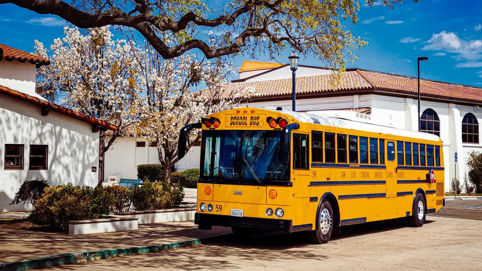 A yellow school bus is parked outside a school beneath a large oak tree with blooming white blossoms, framed by white buildings and a bright blue spring sky.