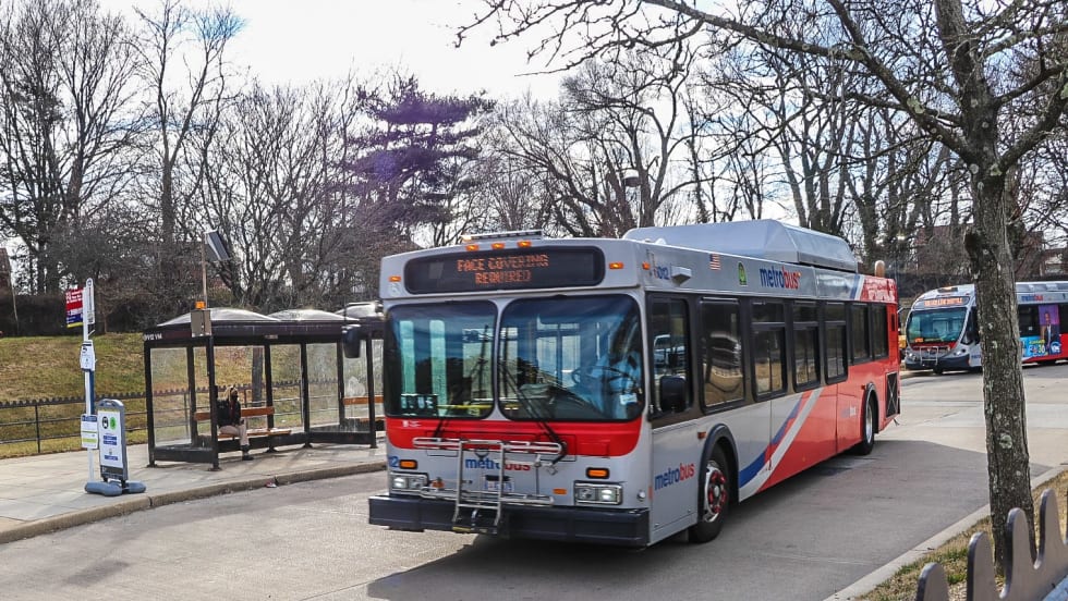 A WMATA bus underneath a cherry blossom tree