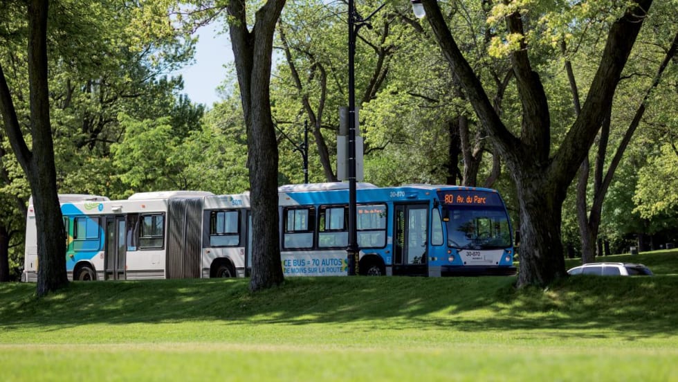 A Société de transport de Montréal transit bus driving past a grassy area with trees.