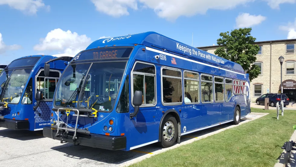Blue Pace buses parked.