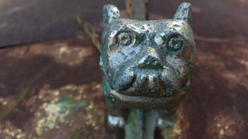 Mack Bulldog.