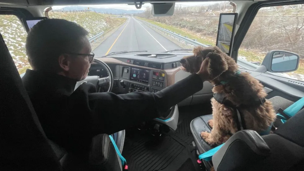 Volvo pet safety.