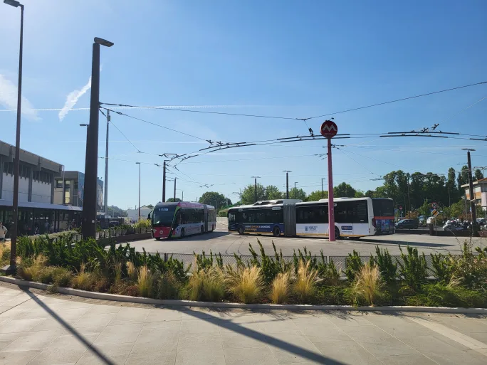 Buses in the City of Rimini, Italy.