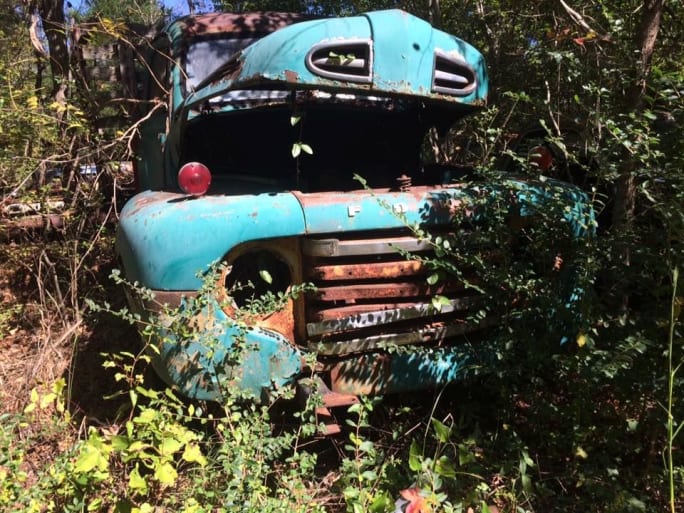 Ford F100 pickup.