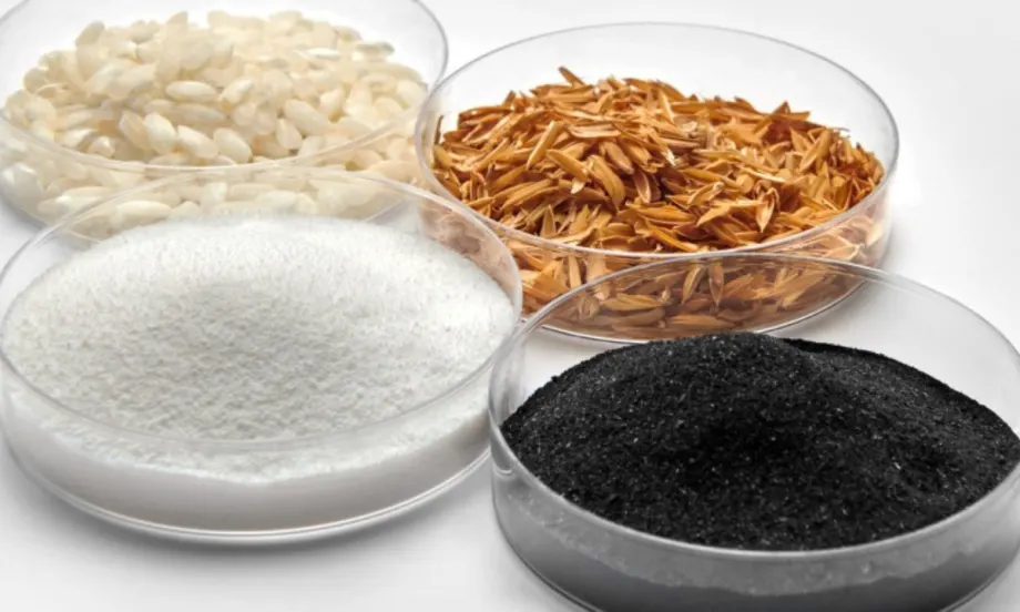 Four petri dishes containing white rice grains, golden rice husks, fine white silica powder, and black rice husk ash, arranged on a white surface to show material transformation.