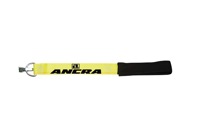 Driver Assist Strap Can Help Prevent Injuries