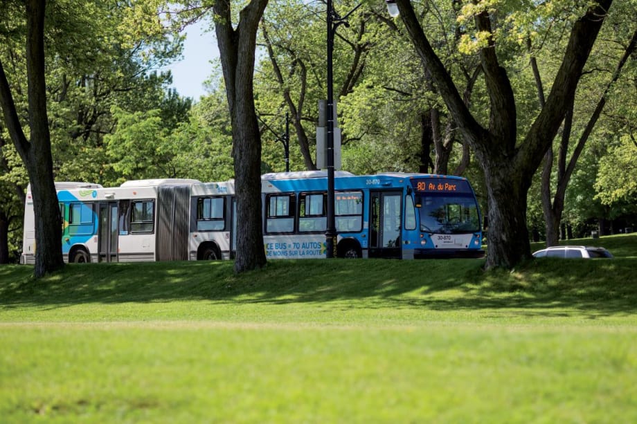 A Société de transport de Montréal transit bus driving past a grassy area with trees.