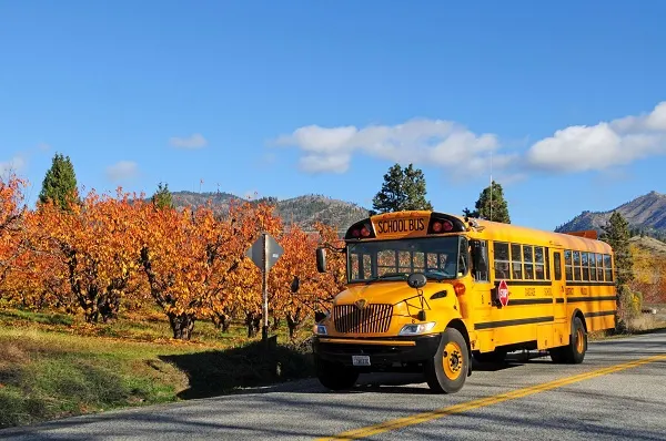 School Reopenings Make Room for New Beginnings