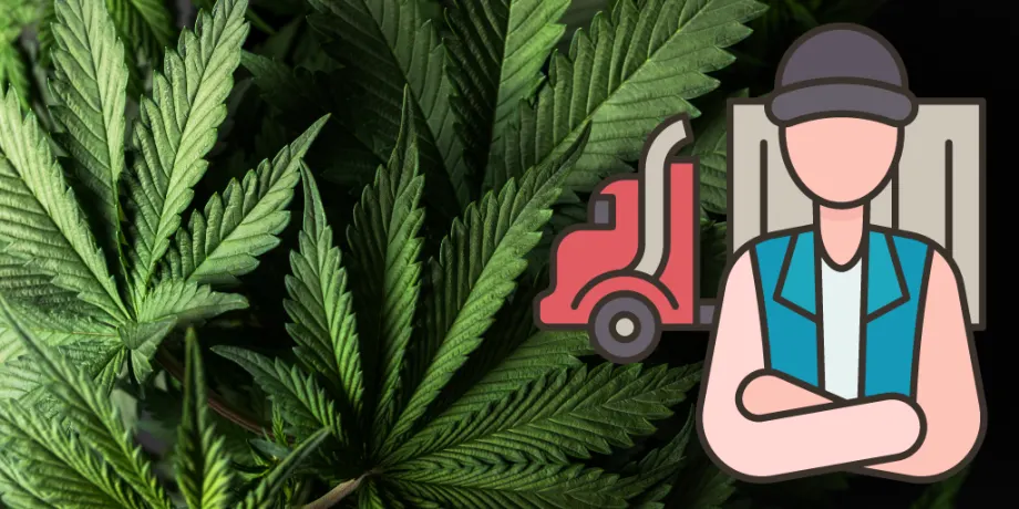 Illustration of truck driver and marijuana