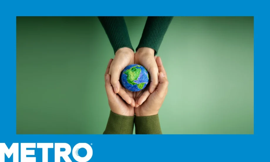 World Sustainable Transport Day: Untapped Strategies for Sustainable Mobility