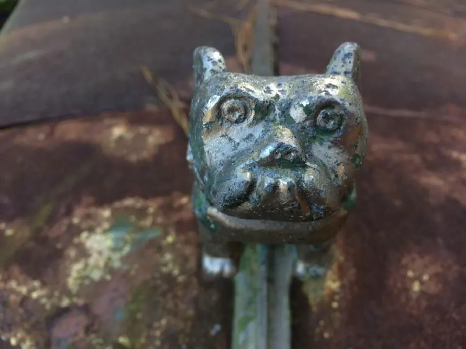 Mack Bulldog.