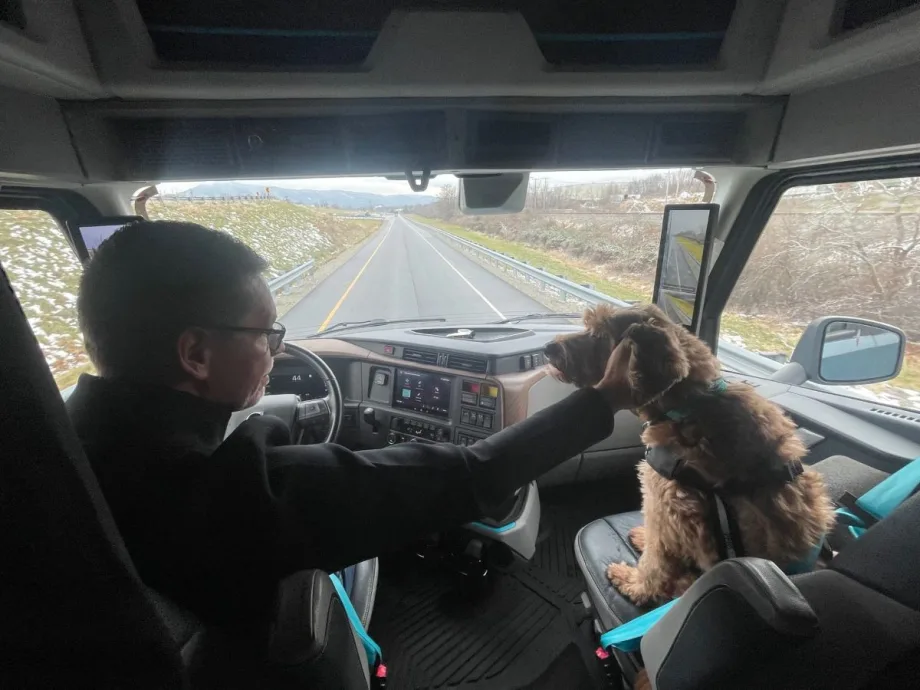 Volvo pet safety.
