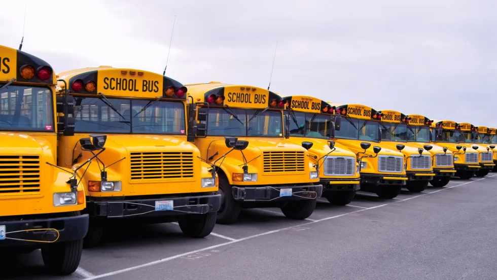 Line of yellow school buses