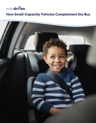 How Small-Capacity Vehicles Complement the Bus 